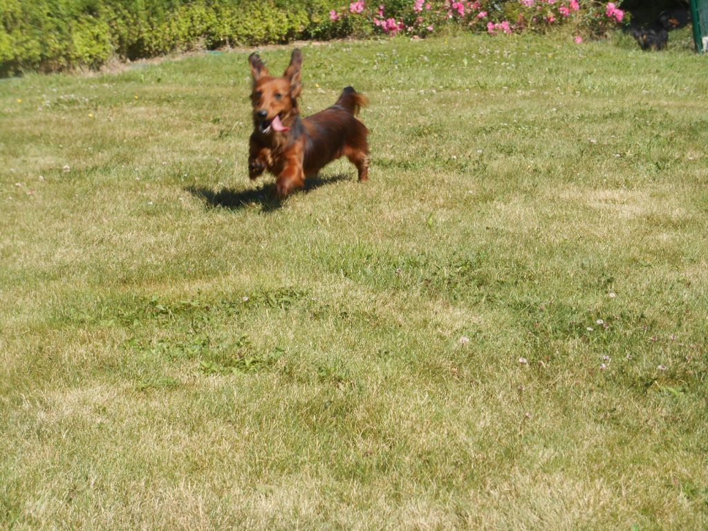 Mélodie Du Domaine De Maybe - RCACS