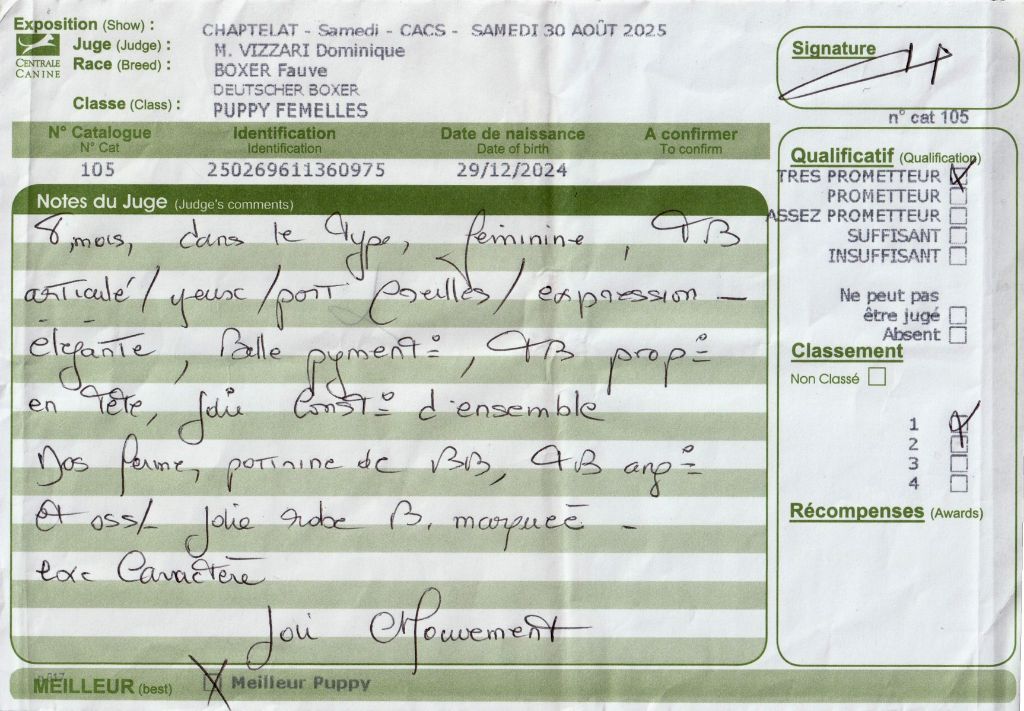 Voutig De l'Ecume De Nacre