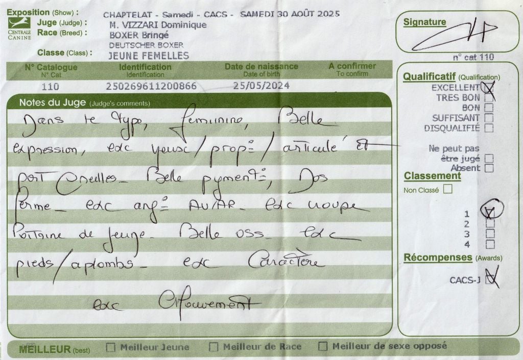 Viksenn Des Fidèles Compagnons d'Uxen