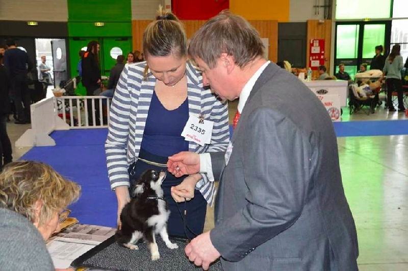 Men in black Of Vita Diamonds - Prometteur