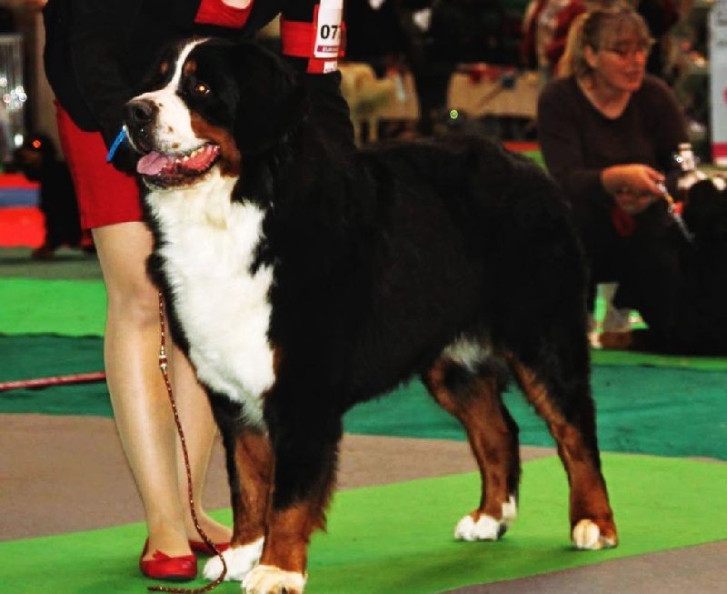 Lucky du Clos de Fairon - 3 ème très bon