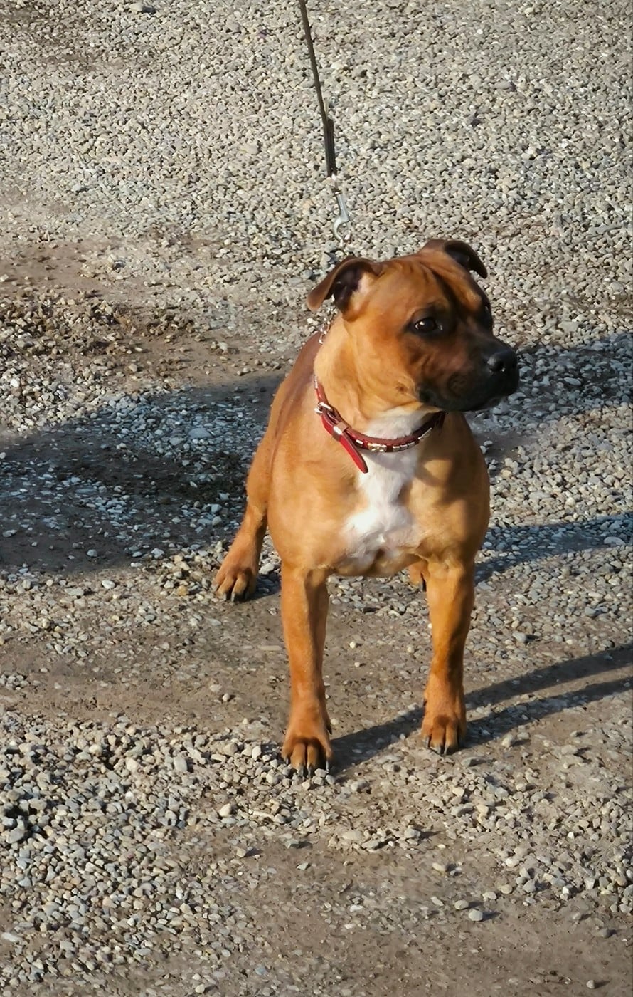 Publication : Of Secret's Sources Auteur : Élevage Of Secret's Sources