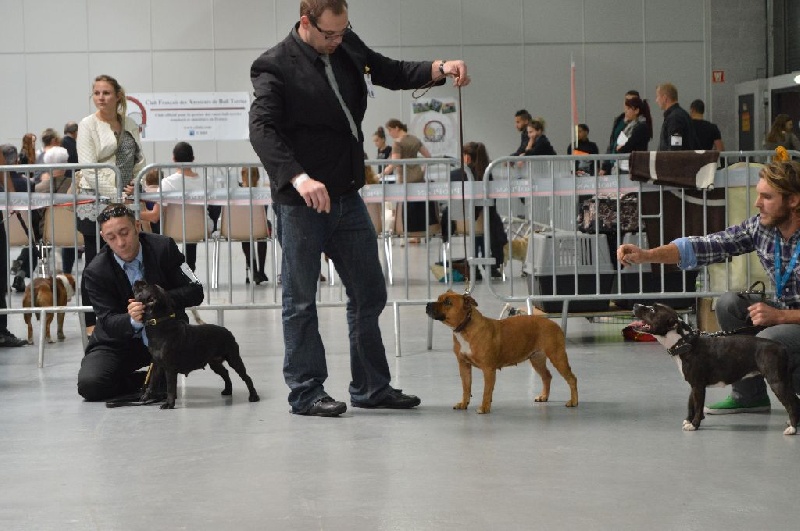 Hanna (Sans Affixe) - 3ème excellent