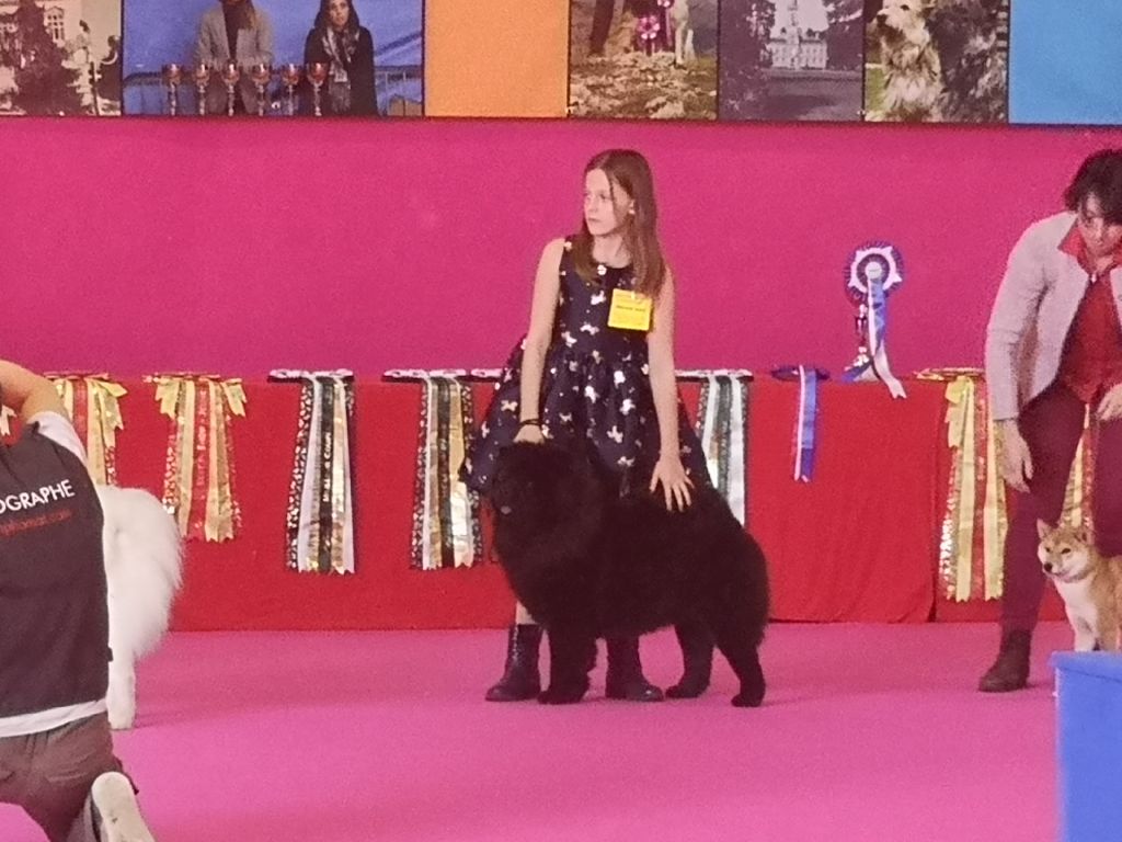 Osiris Of Lovely Blueberries