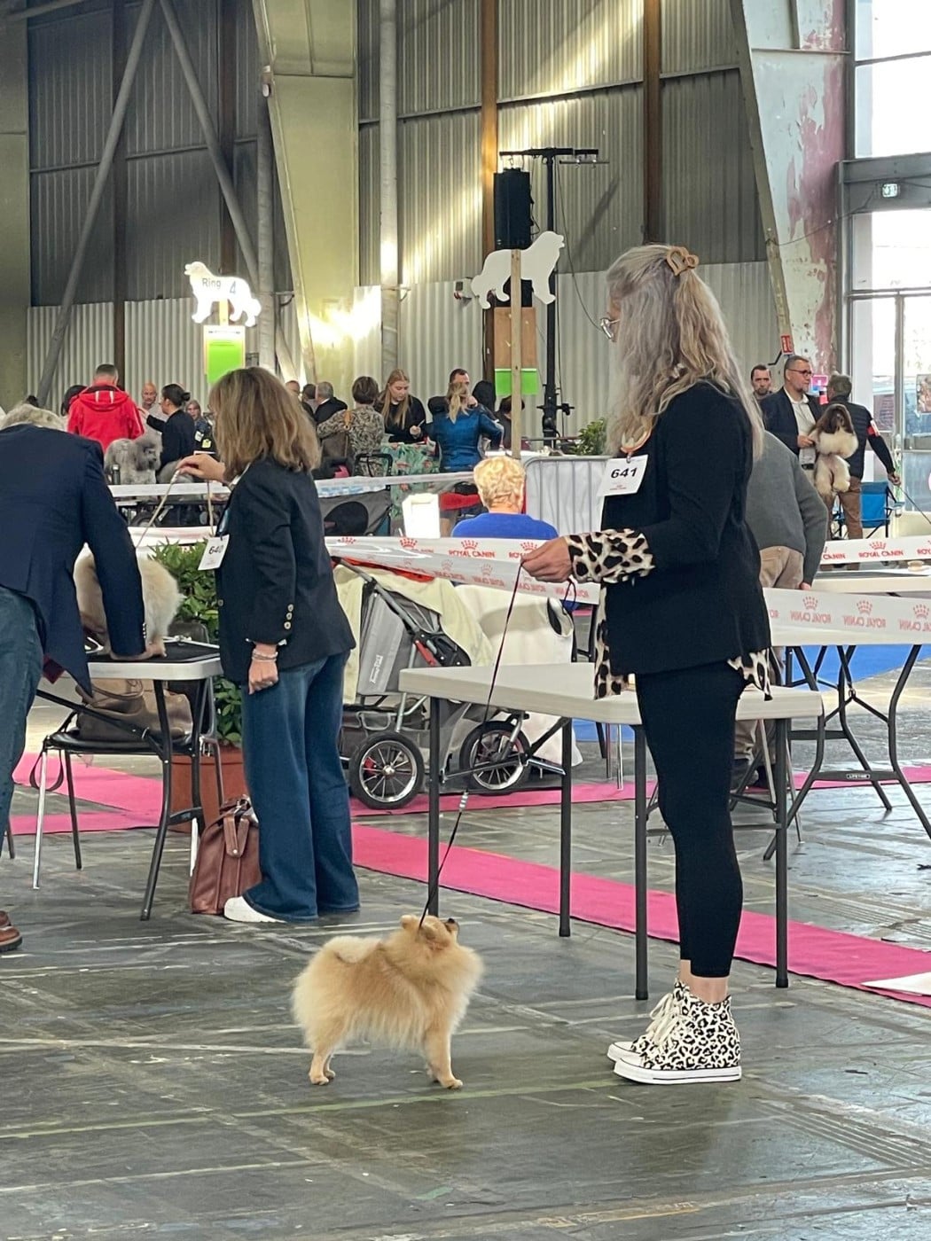 Vénom Of Lovely Blueberries