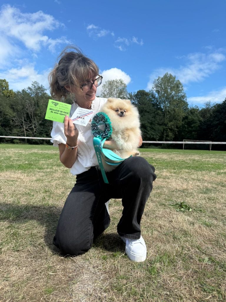 Valentino Of Lovely Blueberries