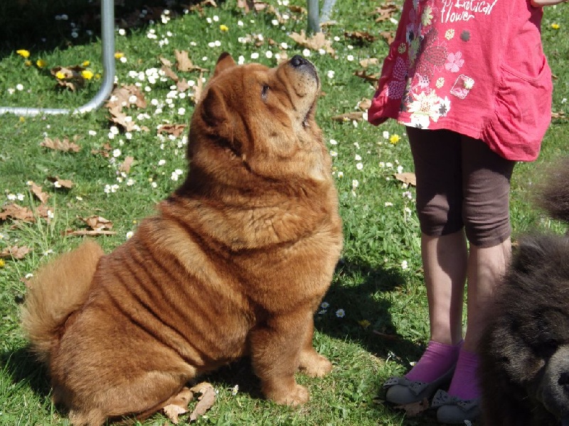 Ichiyo (dite ponyo) de l'Oeil du Cyclone