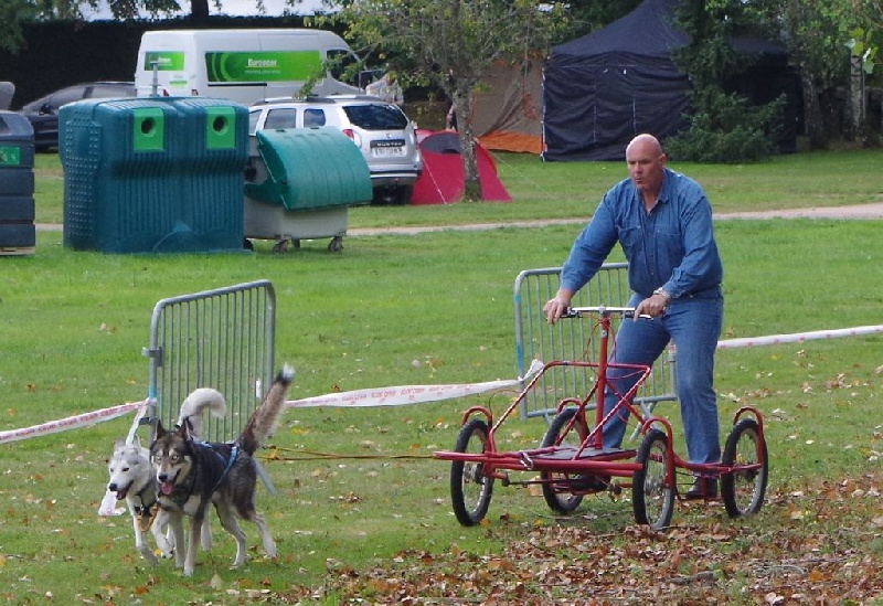 Igloo Titre Initial - TAN (test des aptitudes naturelles)