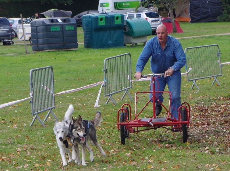 Indra (Sans Affixe) - TAN (test des aptitudes naturelles)