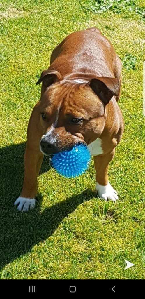 Publication : Des Empereurs De L'Océan