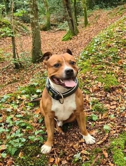 Publication : Des Empereurs De L'Océan