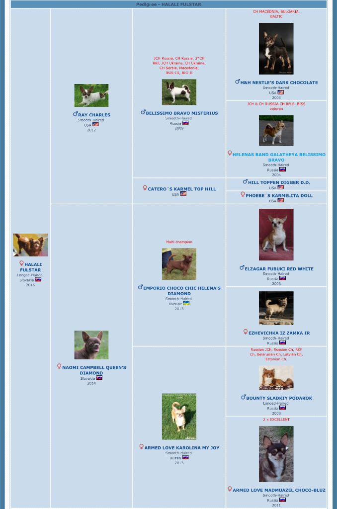 Publication : Des Anges De Luna