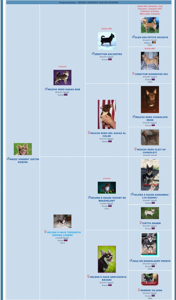 Publication : Des Anges De Luna