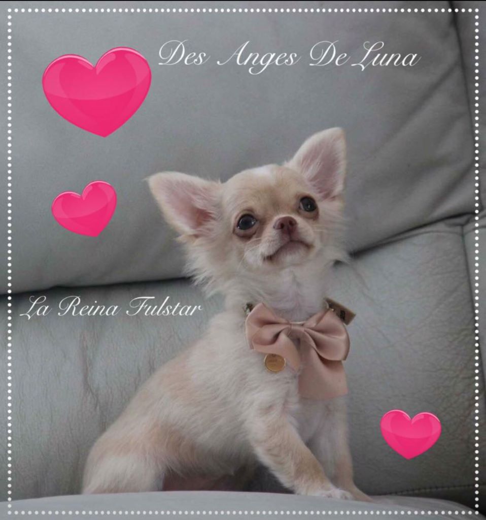 Publication : Des Anges De Luna