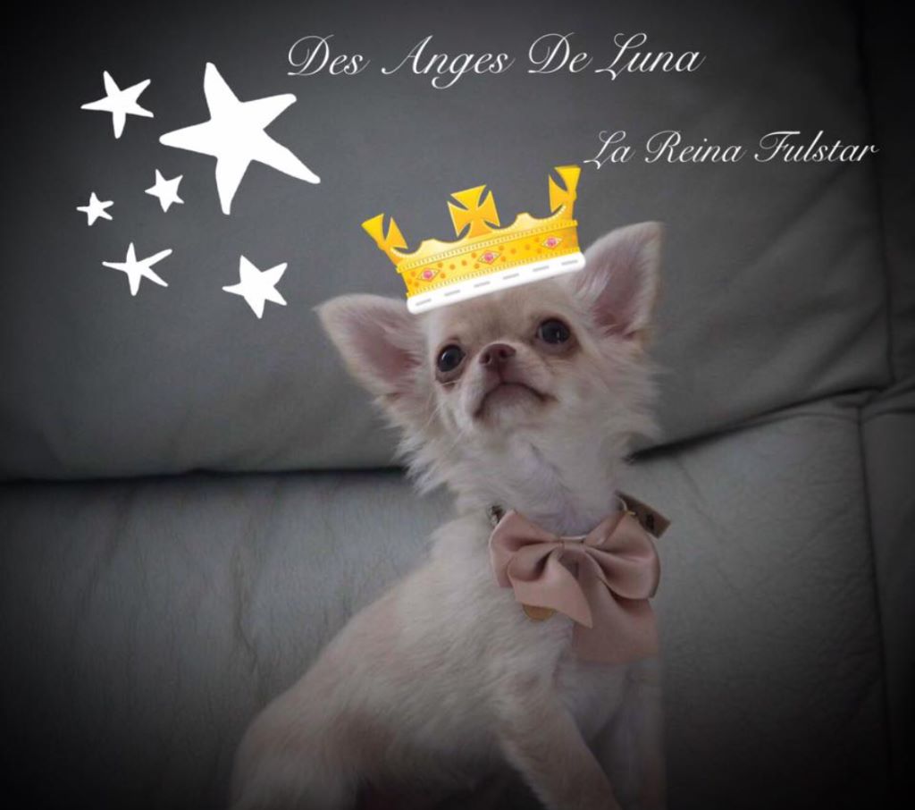 Publication : Des Anges De Luna