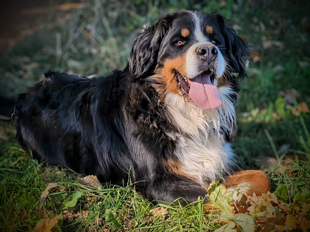 Sunday Des Routes De Saint Jacques