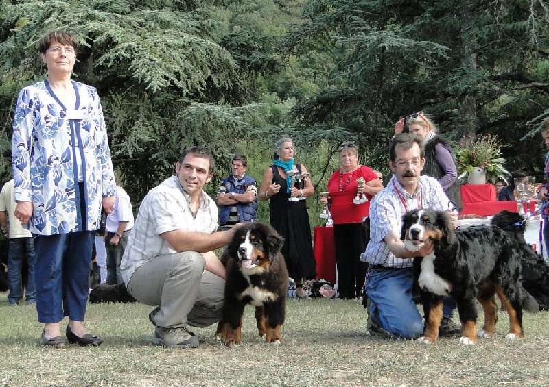 Hohe du Haras de la Vergne - BABY 5 mois 1/2 - 1er TP