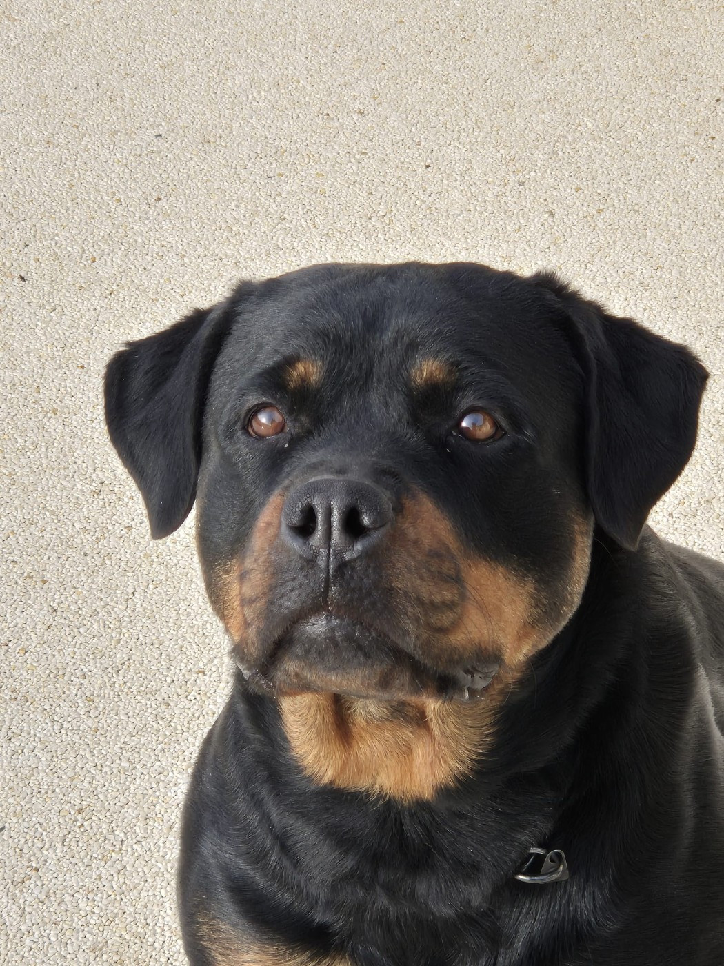 Publication : du Clos des Andréas