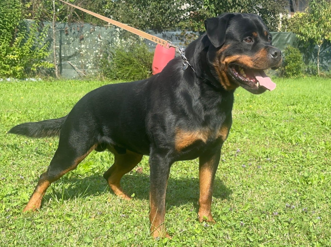 Publication : du Clos des Andréas