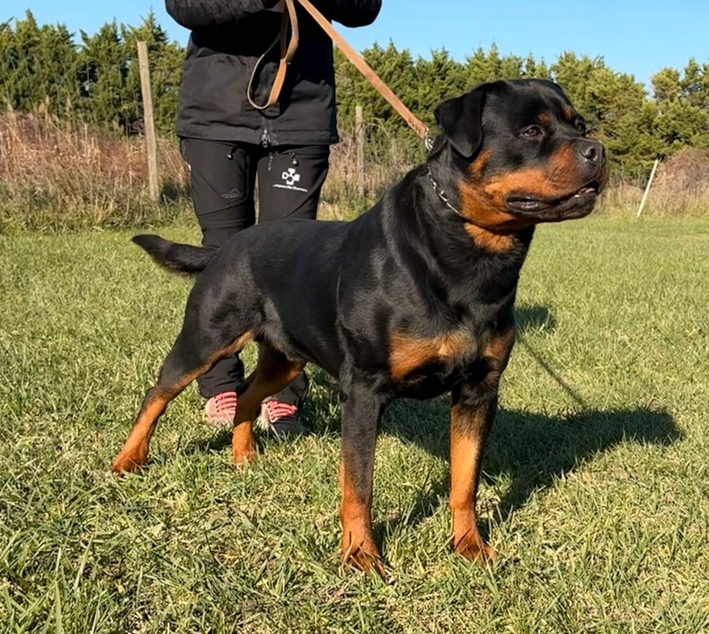 Publication : du Clos des Andréas