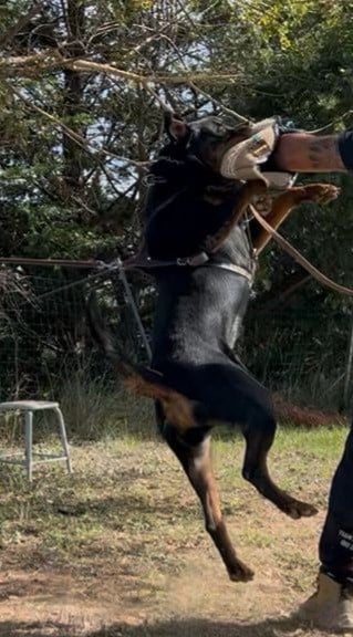 Publication : du Clos des Andréas