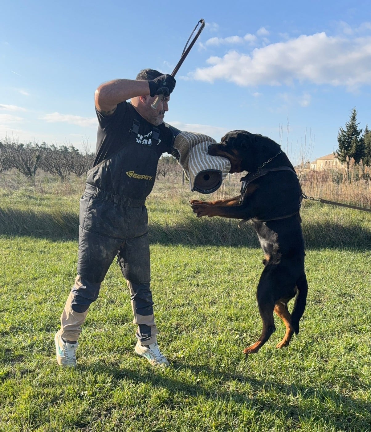 Publication : du Clos des Andréas