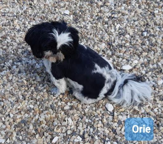 Publication : Domaine le Pin Franc