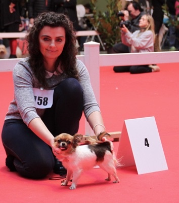 Publication : Du Reve Des Pitchounes