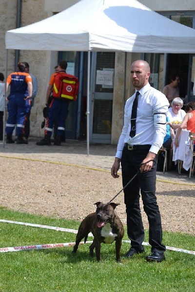 Lexie Of Dakota Black Hills