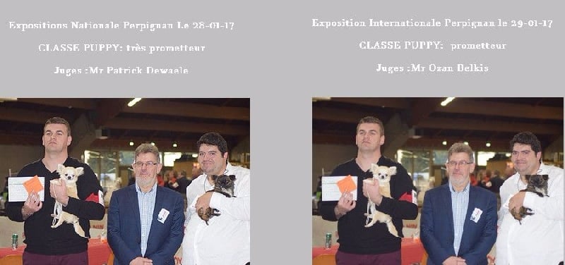 Melina Du Royaume Dorion - trés prometteur