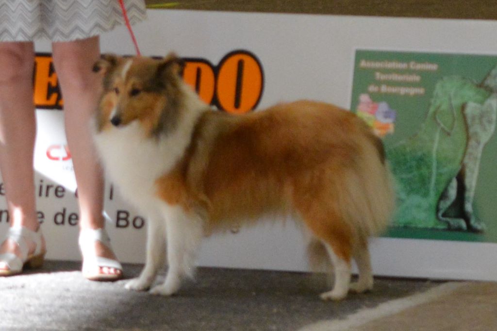 Orlia De La Rivière Etincelante - 1er EX / Meilleur jeune