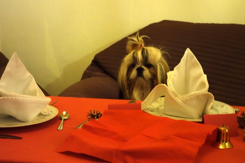 Publication : Des Portes De Shamballa Auteur : Des Portes de Shamballa