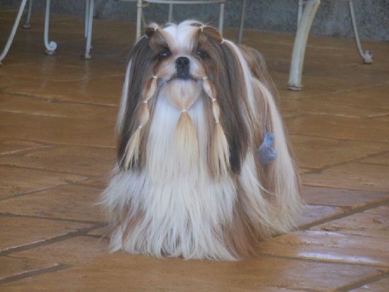 Publication : Des Portes De Shamballa Auteur : Domaine de Shiloh