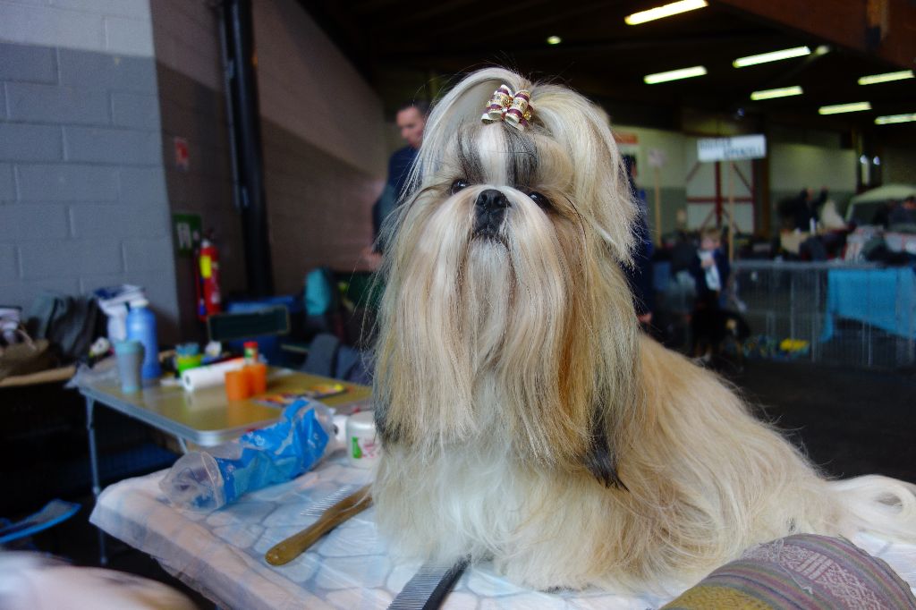 Publication : Des Portes De Shamballa Auteur : Des Portes de Shamballa