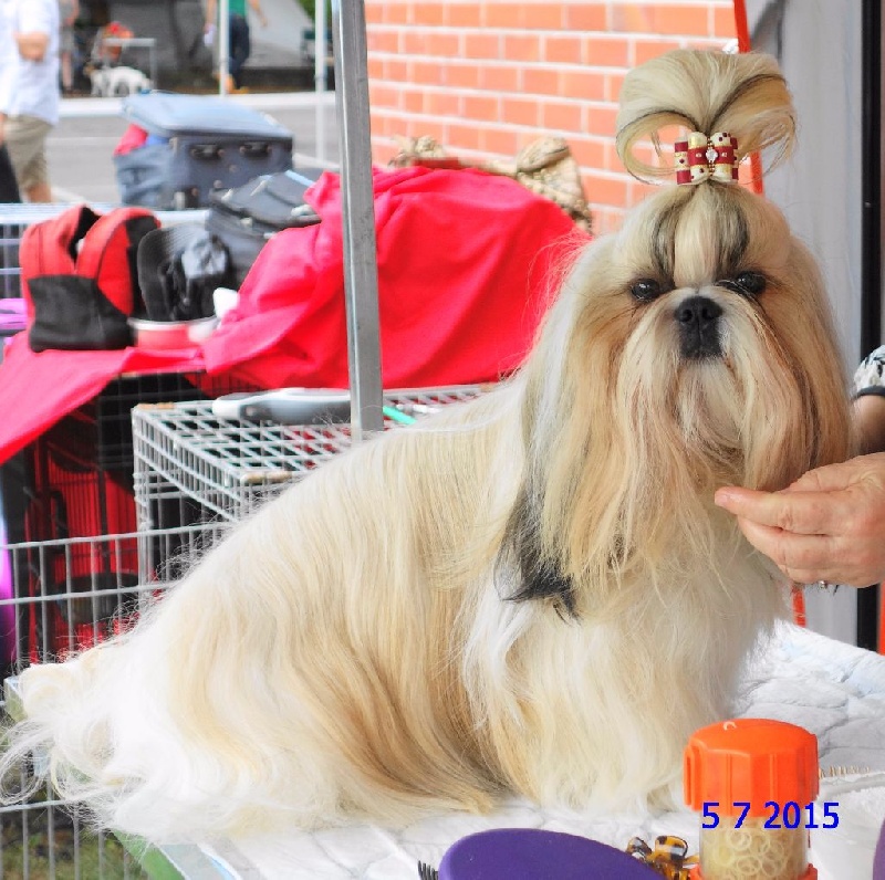 Publication : Des Portes De Shamballa Auteur : Des Portes de Shamballa