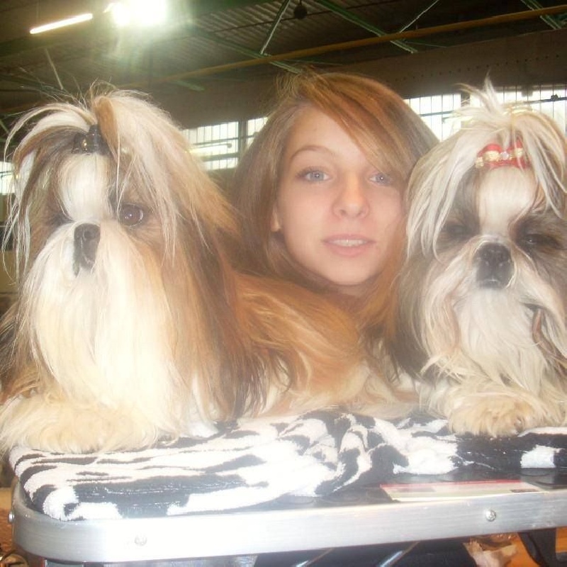 Publication : Des Portes De Shamballa Auteur : Domaine de Shiloh