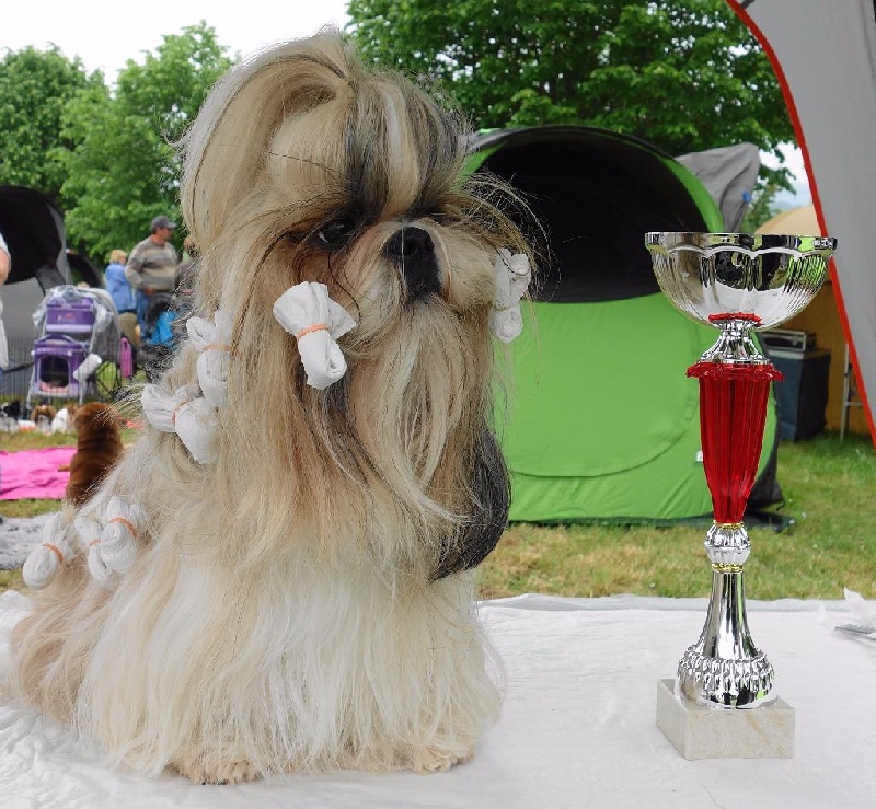 Publication : Des Portes De Shamballa Auteur : Des Portes de Shamballa