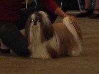 Publication : Des Portes De Shamballa Auteur : Domaine de Shiloh