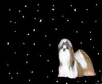 Publication : Des Portes De Shamballa Auteur : Domaine de Shiloh