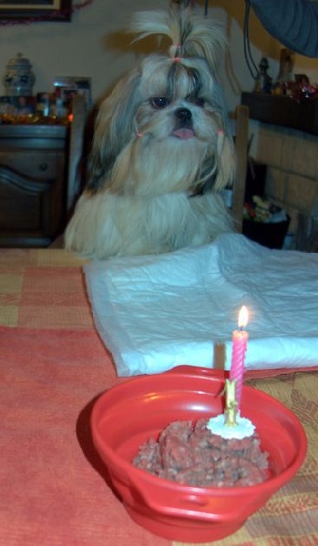 Publication : Des Portes De Shamballa Auteur : Des Portes de Shamballa