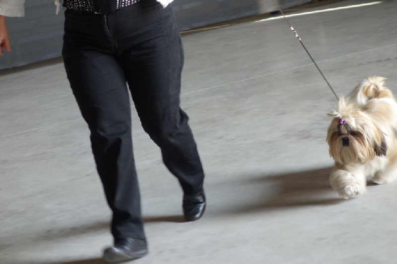 Publication : Des Portes De Shamballa Auteur : Des Portes de Shamballa