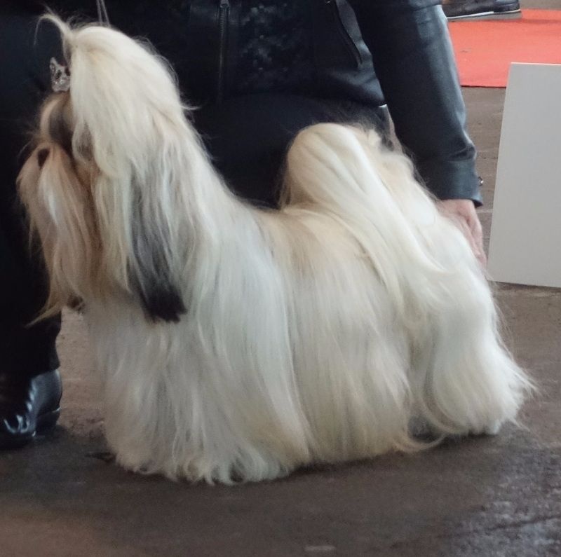 Publication : Des Portes De Shamballa Auteur : Des Portes de Shamballa