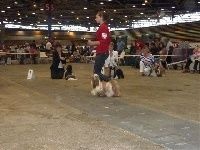 Publication : Des Portes De Shamballa Auteur : Domaine de Shiloh