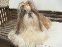 Publication : Des Portes De Shamballa Auteur : Domaine de Shiloh