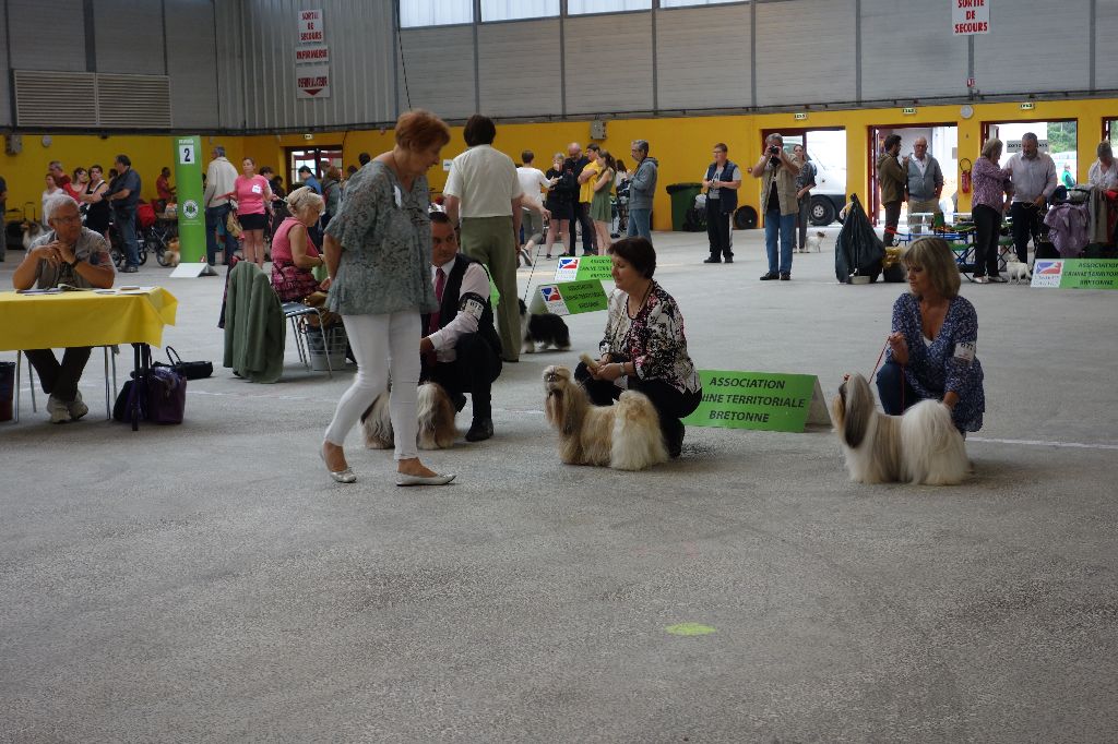 Joyce des pommiers du pays d othe - Excellent. 3ème. Classe Ouverte Femelles.