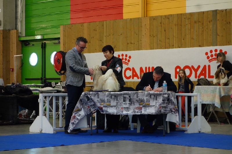 Joyce des pommiers du pays d othe - Excellent 3ème. Classe Ouverte Femelles.