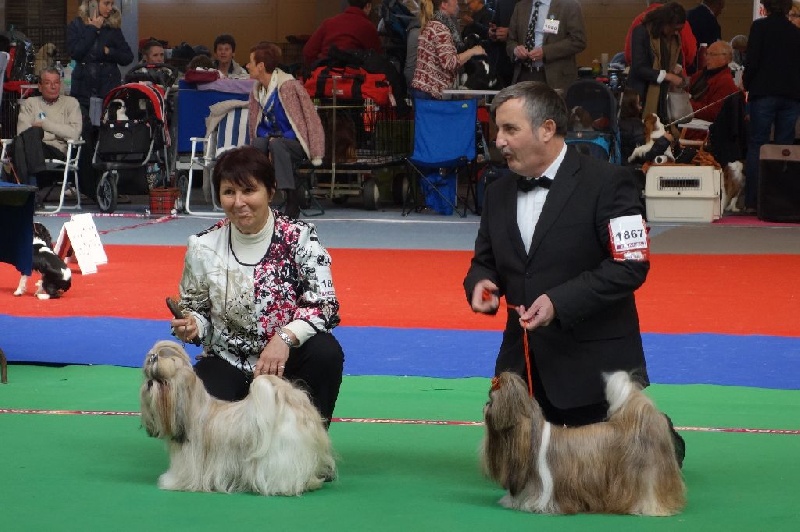 Joyce des pommiers du pays d othe - Excellent 3 ème. Classe Ouverte Femelles.