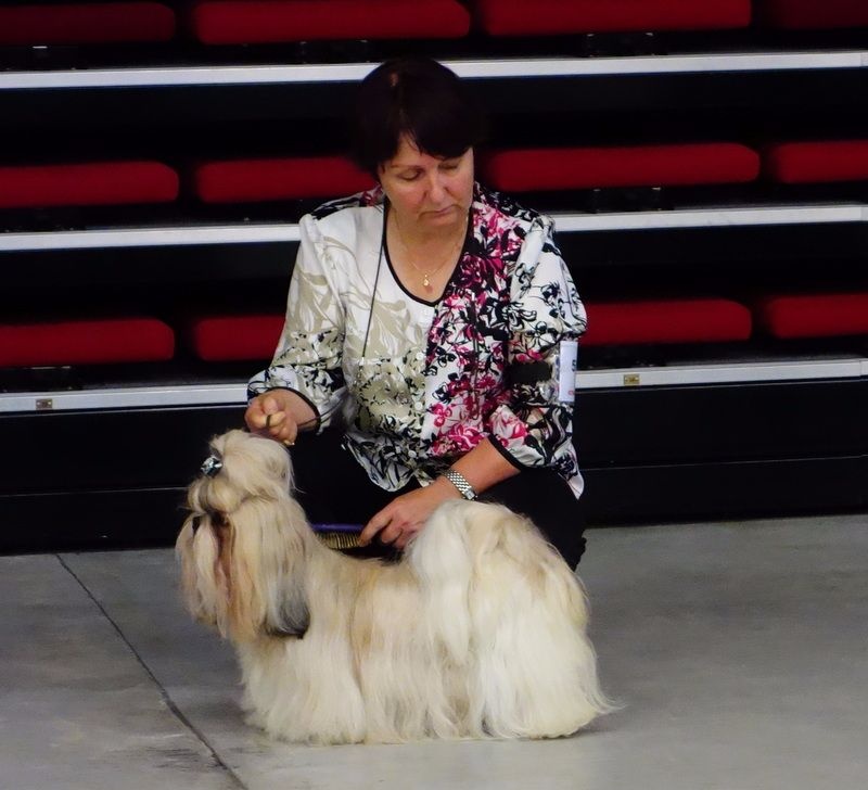 Joyce des pommiers du pays d othe - Excellent 4 ème. Classe Ouverte Femelles.