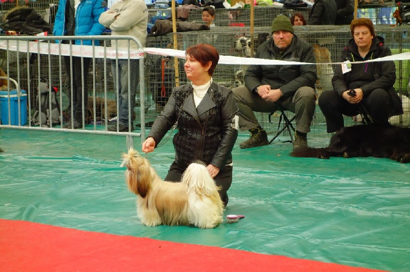 Joyce des pommiers du pays d othe - Excellent 2 ème. Classe Jeune Femelles.