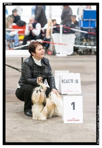 Joyce des pommiers du pays d othe - EXCELLENT. 1 ère. Classe Jeune Femelles.